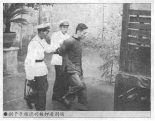 公知国粉百般洗白和包装的军统特务对革命党人都做过什么？