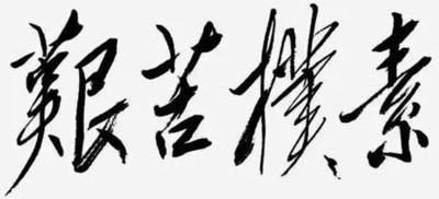 胡伟武:只有思想过硬,才能实现核心技术的突破