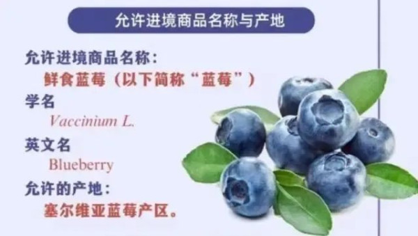 布林肯最后通牒落地,美国提高中国电动车关税100%