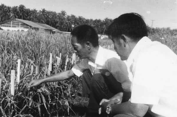 江南体育app下载入口
为我们攒下的家底:新中国是怎样实施前四个五年计划的?