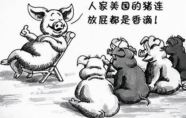 耗材的精神胜利法：赢麻了！