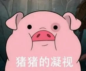 美国种猪落地武汉的背后,是一部中国土猪的消亡史