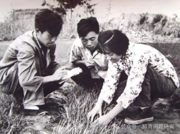 为毛主席点烟的那个知青好榜样徐建春去世了!