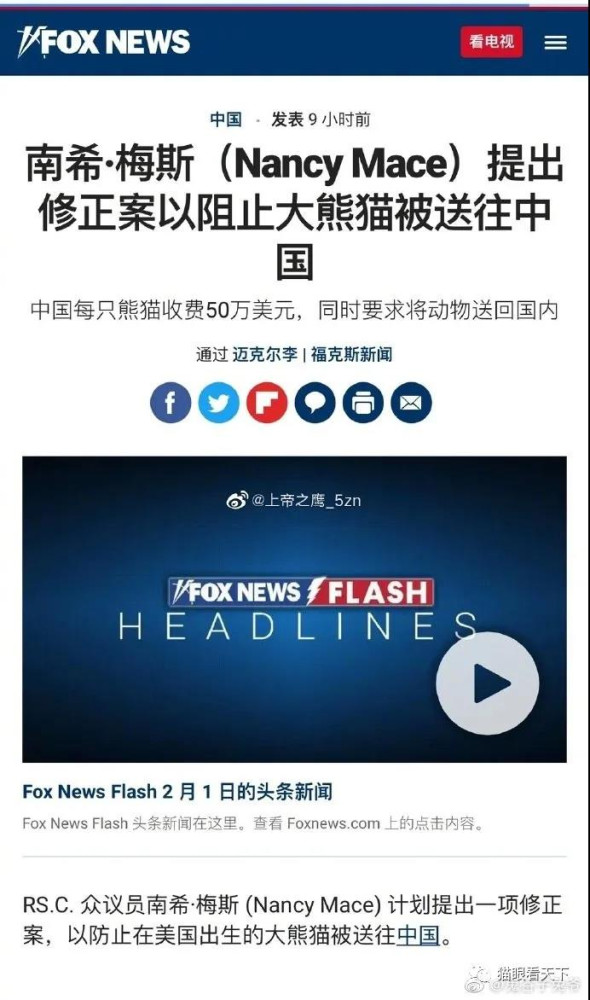 美国人,你这是连大熊猫都想抢了?