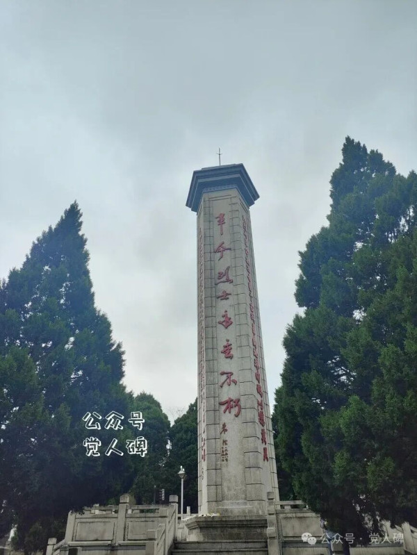 “三光”政策是谁发明的？