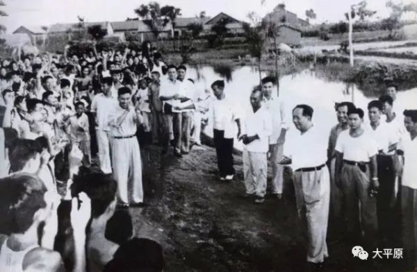 集体经济的优势在哪里?看看河南七里营