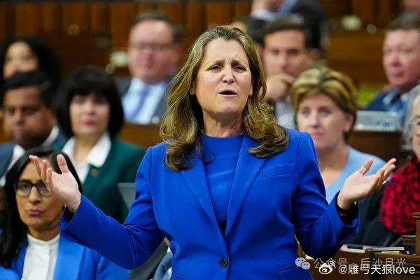 又蠢又坏,她后悔让中国加入WTO了!