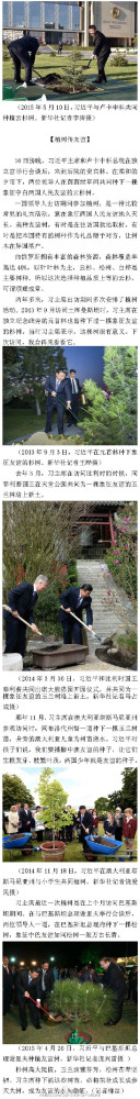 习近平与卢卡申科共同种植友谊树(图)