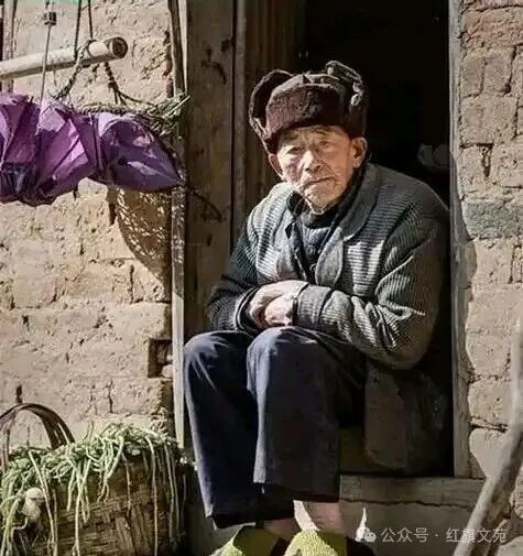 集体经济：养老的坚实依靠