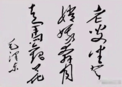 张文木:结合当前战略形势说说毛主席写给尼克松的三句话