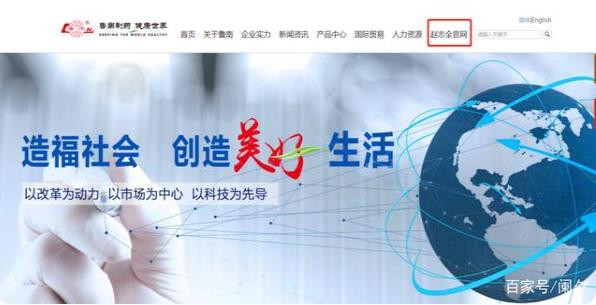 挑战邪恶律师，女孩海外苦诉四年，终获数十亿股权！