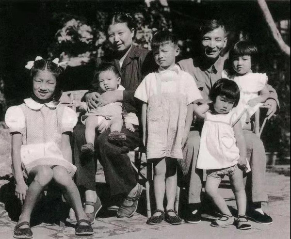 陈云:大白菜也是政治问题,懂了白菜,就懂了民心