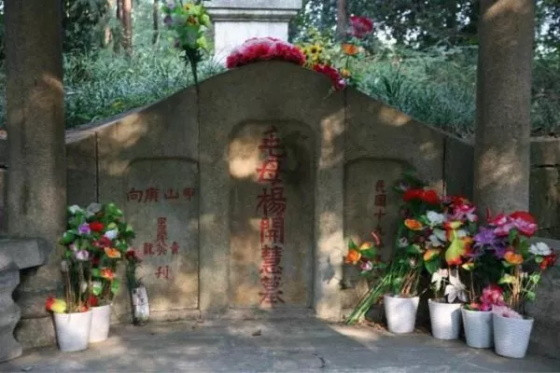 永远的骄杨——纪念杨开慧烈士牺牲89周年