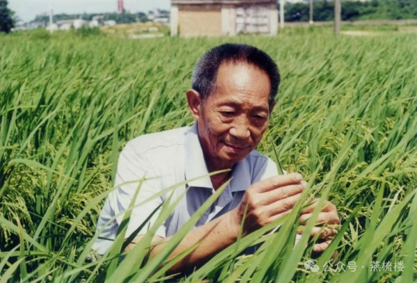 惊心动魄的粮食间谍案！