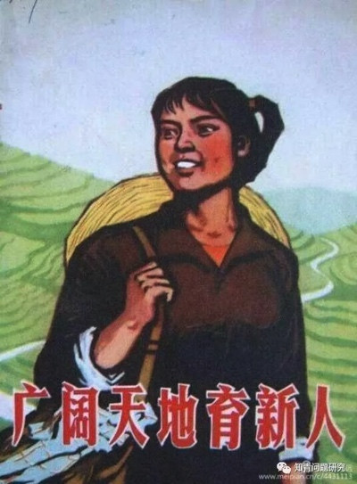 绿树长青有深根——下乡知青张翠梅的“再下乡”