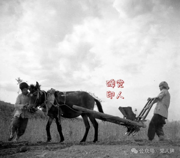夺印，地主阶级这样给我们“上课”！