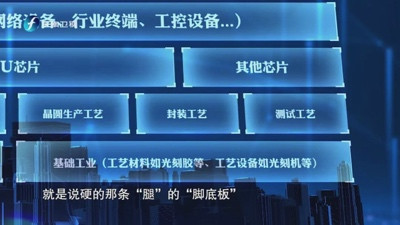 胡伟武:将自主进行到底