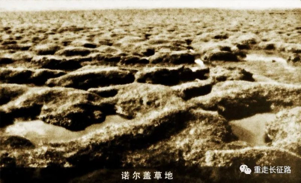 泪目：红军长征过草地的感人事迹