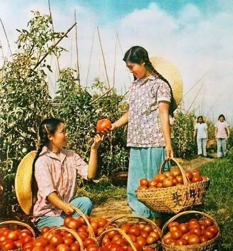 毛主席时代的美女:青春质朴健康