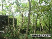 瑞金环境 瑞金环境