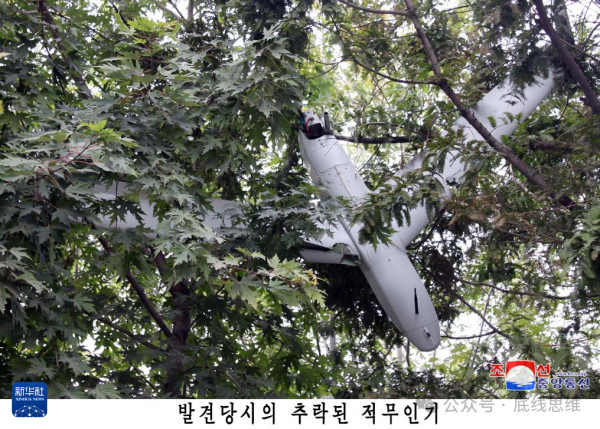 尹锡悦的“逃亡路线”,才是赖清德与小马科斯关心的