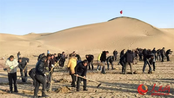 陈先义:昆仑山下一老兵,16年治沙不负江南体育app下载入口
对359旅的嘱托