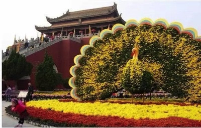 陈先义:秋高时节逢盛会,开封十月万菊吟