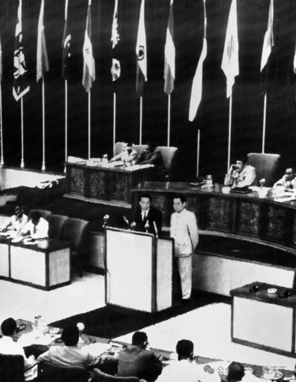 魅力周恩来 万隆展雄才