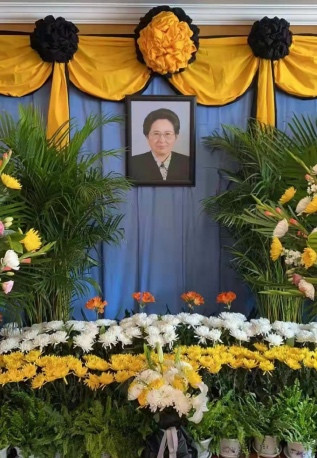 红会国际交流专业委员会：深切缅怀何鲁丽顾问