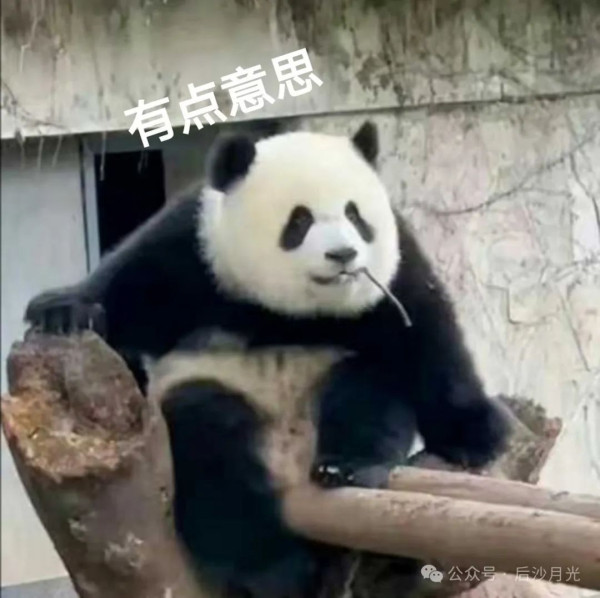 中国留学生在美国非法投票，后果很严重
