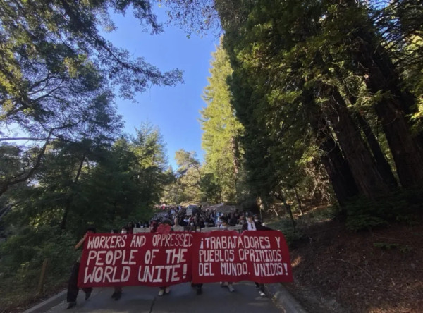 美国多地爆发革命学生运动