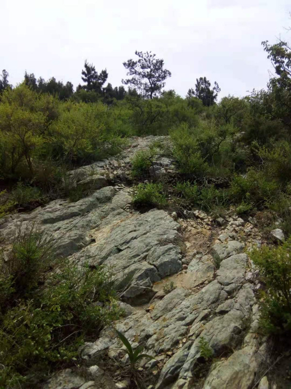 齐红深:建党一百周年登莲花山诗记