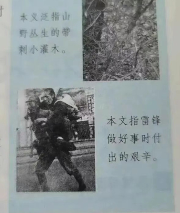 逆天毒教材泛滥美国，圣诞老人找起了老公