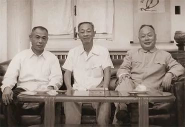 殊途同归：陈毅三兄弟的乱世传奇