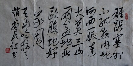 我书写我诗——赵安民的“毛体”书法