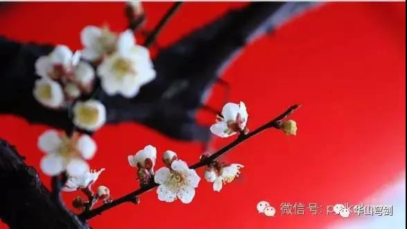 罗援：关键时刻需非常之人，行非常之策、拼非常之勇！