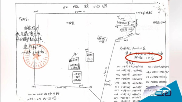 警惕“新圈地运动”：“开荒有功”还是“毁草有罪”？