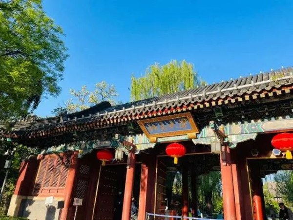 张桂梅没教出清北不是问题,出国留学不归才是教育的失败
