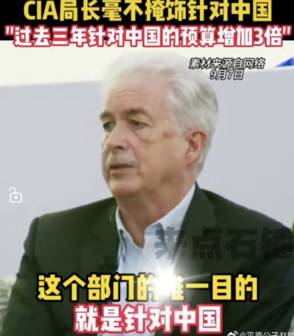 16亿狗粮,能养多少狗?