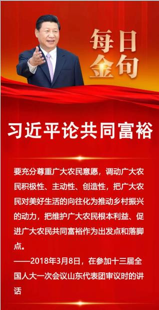 组织起来：从摆脱贫困迈向共同富裕——鸭池镇党委统领合作社实践启示