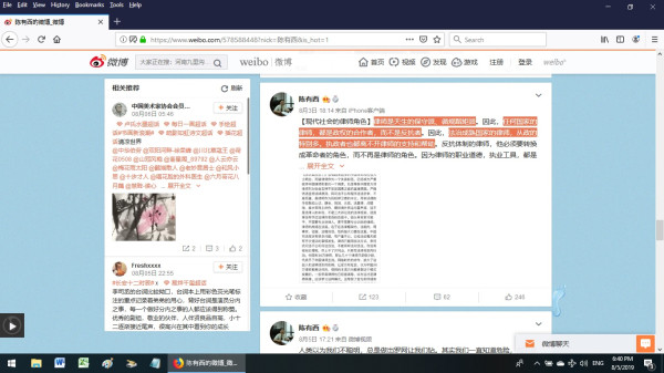 辛有东：法律党乱香港