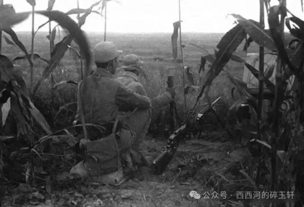 “土八路”痛打日军,交换比高达1:96