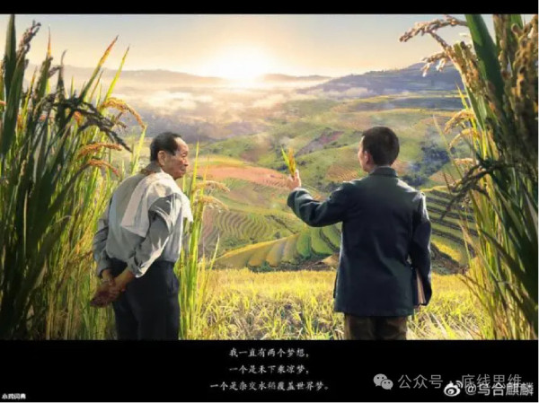 被外国间谍盯上的“亲本种子”，有多珍贵？