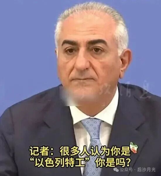 全世界最可悲的丧家犬！