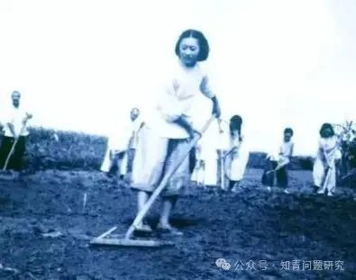 为毛主席点烟的那个知青好榜样徐建春去世了!