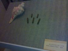内部展品照 内部展品照