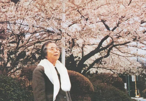 从西花厅海棠花忆起：邓颖超对周恩来的深情追思