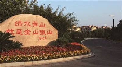 翟勇:学习习近平“生态优先、绿色发展”思想的体会