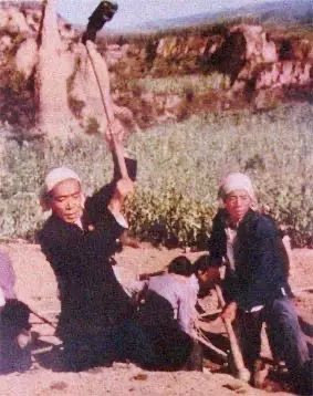 毛主席为何会对陈永贵另眼相看?