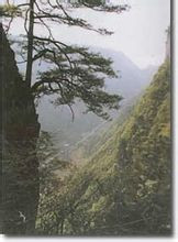 娄山关 娄山关